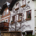 Hallstatt