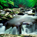 Summer Scene, Middle Prong of the Little River, Great Smoky Moun