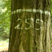15,31   255-ös erdészeti üzemi pont