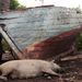 Fishermens siesta - Baracoa, Cuba, 2007