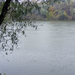 2008 1023 a Tisza