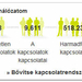 xing statisztika