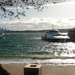 Watsons Bay:)