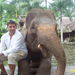 Bali - Elefánt 2