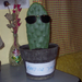 Kaktuszííítóó