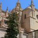 14 Segovia (37)