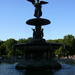 471 Central Park-Bethesda Fountain and Terrace