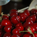 fresh hungarian cherry