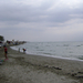 2008.09. Paralia 065