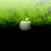 Apple Wallpaper  Mikhail by thefreaks.jpg