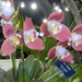 2011   nemzetközi orhidea kiállítás 025