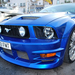 FORD MUSTANG 15