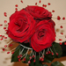 vörös rózsák 2