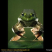 american-bullfrog (Medium)