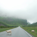 2011-07-04geiranger-1