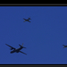 An-26 és Albatross augusztus 20-án