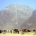 Wadi Rum tevéi