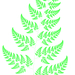 Bransleys fern.png