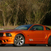 Mustang 07SALEEN S281