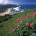 normal Cascade Head, Oregon