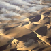 normal Fogline, Namib Desert, Namibia, Africa