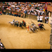 palio-horse-race-