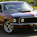 Album - FORD MUSTANG