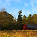 01012 pineygrovefarmnc 1280x1024