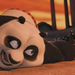 kung-fu-panda (11)