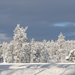 Rovaniemi-Santa Claus Village1