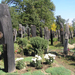 0 210 Szatmárcseke Csónakos temető
