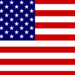 dbi flag usa