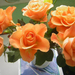 3orangeroses