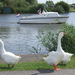 Kinderdijk 031