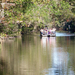 Homosassa park