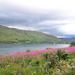 Loch Linnhe