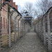 Auschwitz  0152