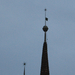 calvinist church