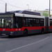 busz (11)