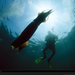 humboldt-squid-and-diver-photography-760214-xl (Medium)