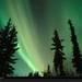 north-pole-aurora-borealis-678723-xl (Medium)