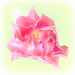 art372pinktulip