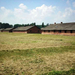 Auschwitz-Birkenau09