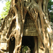 Wat Ta Prohm