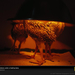 attwaters-chickens-heat-lamp-708033-sw (Medium)