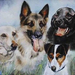 4 Dogs - watercolor (Medium)