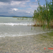 balaton2008 091