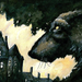 Wolf and castle (Eric Orchard)