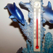 Hőmérő delfinekkel